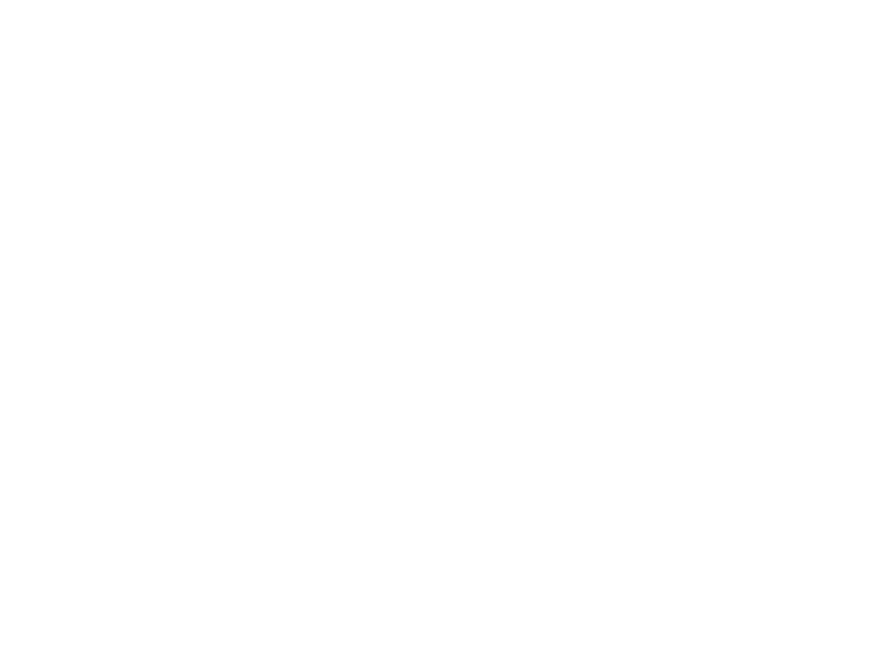 AvioMod